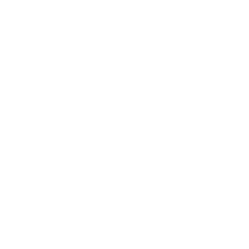 Accessibility Icon